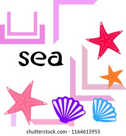 starfish shell sea vector background