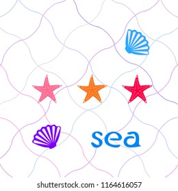 starfish shell sea vector background