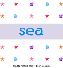 starfish shell sea vector background
