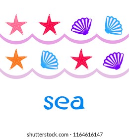 starfish shell sea vector background