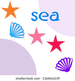 starfish shell sea vector background