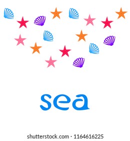 starfish shell sea vector background