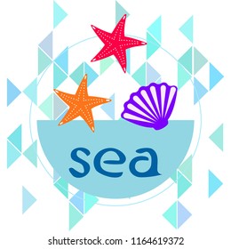 starfish shell sea vector background