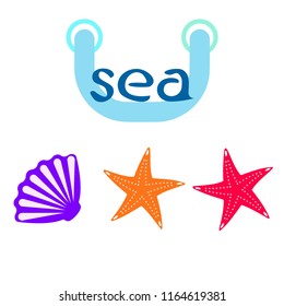 starfish shell sea vector background