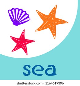 starfish shell sea vector background