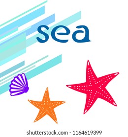 starfish shell sea vector background