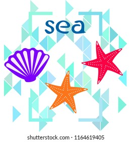 starfish shell sea vector background