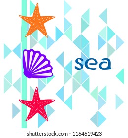 starfish shell sea vector background
