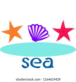 starfish shell sea vector background