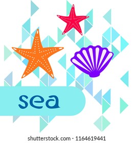 starfish shell sea vector background