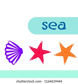 starfish shell sea vector background