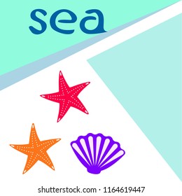starfish shell sea vector background