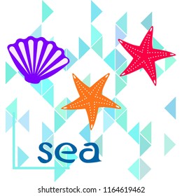 starfish shell sea vector background