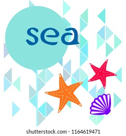 starfish shell sea vector background