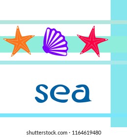 starfish shell sea vector background