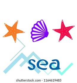 starfish shell sea vector background