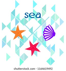 starfish shell sea vector background