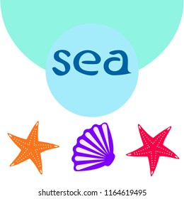 starfish shell sea vector background