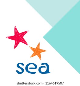 starfish shell sea vector background