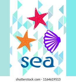 starfish shell sea vector background