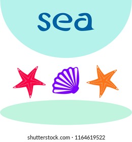starfish shell sea vector background