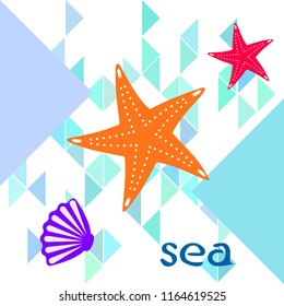 starfish shell sea vector background