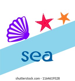 starfish shell sea vector background