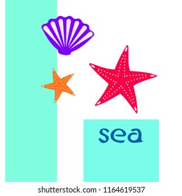 starfish shell sea vector background