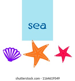 starfish shell sea vector background