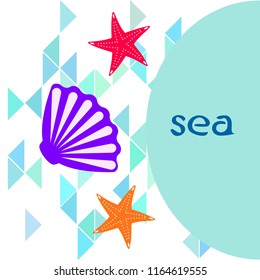 starfish shell sea vector background
