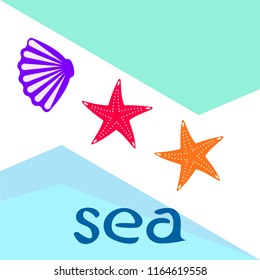 starfish shell sea vector background