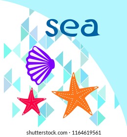 starfish shell sea vector background