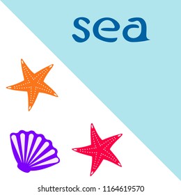 starfish shell sea vector background