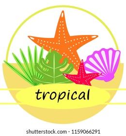 starfish shell tropical plant vector background
