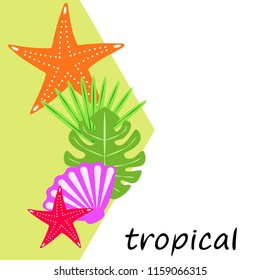 starfish shell tropical plant vector background