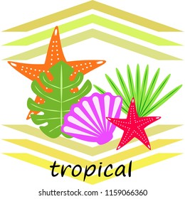 starfish shell tropical plant vector background