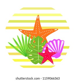 starfish shell tropical plant vector background
