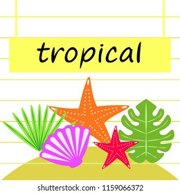 starfish shell tropical plant vector background
