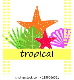 starfish shell tropical plant vector background