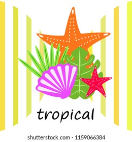starfish shell tropical plant vector background