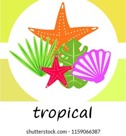 starfish shell tropical plant vector background