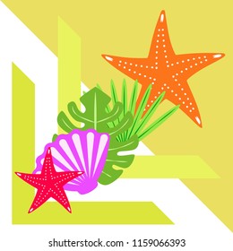 starfish shell tropical plant vector background