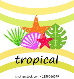 starfish shell tropical plant vector background