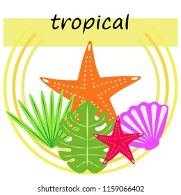 starfish shell tropical plant vector background