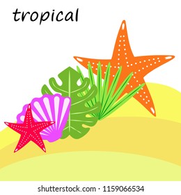 starfish shell tropical plant vector background