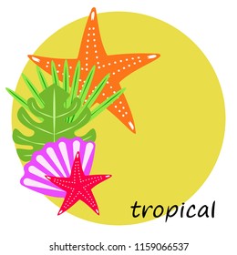 starfish shell tropical plant vector background