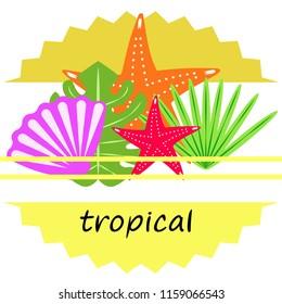 starfish shell tropical plant vector background