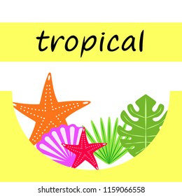 starfish shell tropical plant vector background
