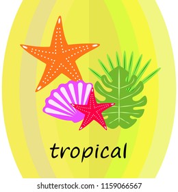 starfish shell tropical plant vector background