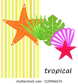 starfish shell tropical plant vector background